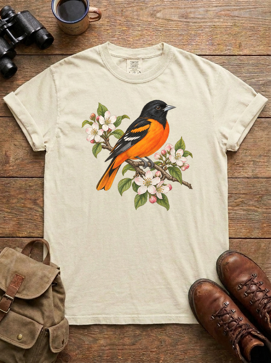 Baltimore Oriole Tee, Ivory