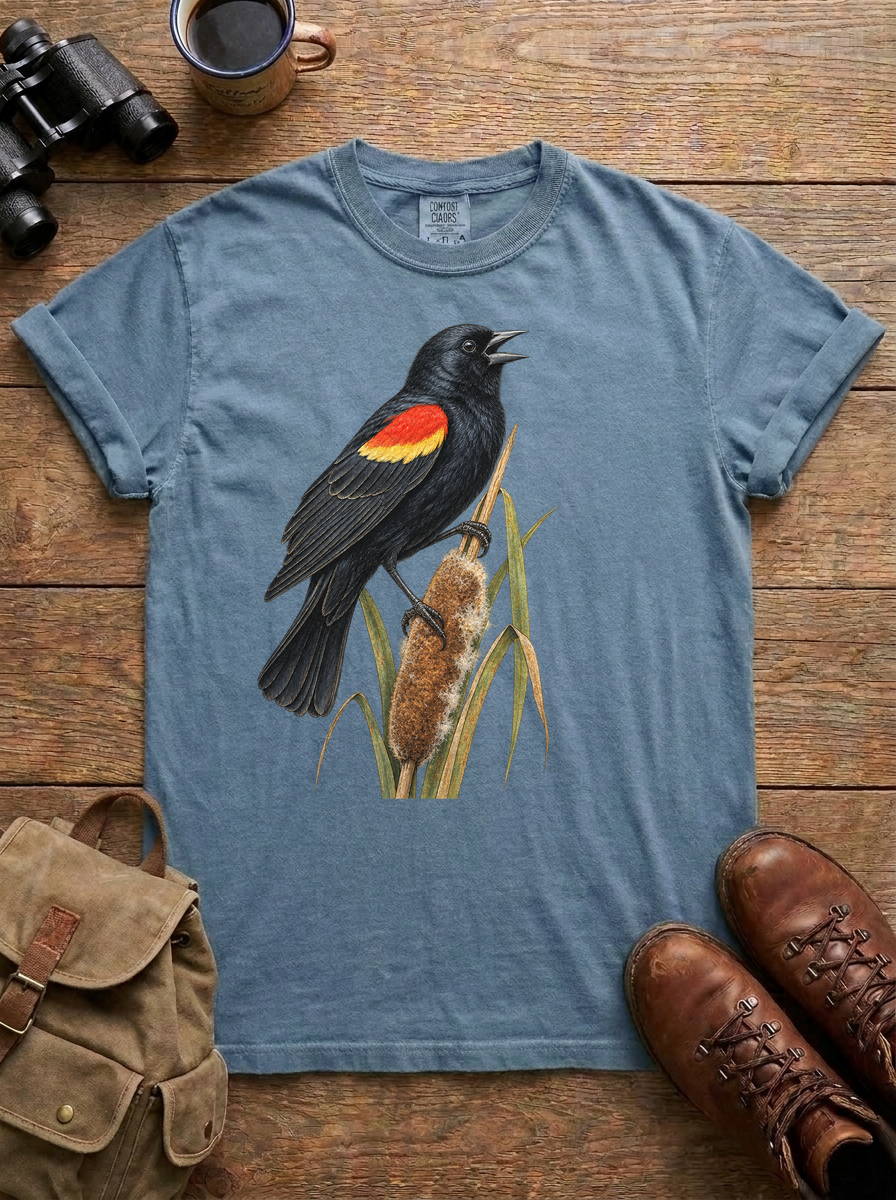 Red-Winged Blackbird Tee, Blue Jean