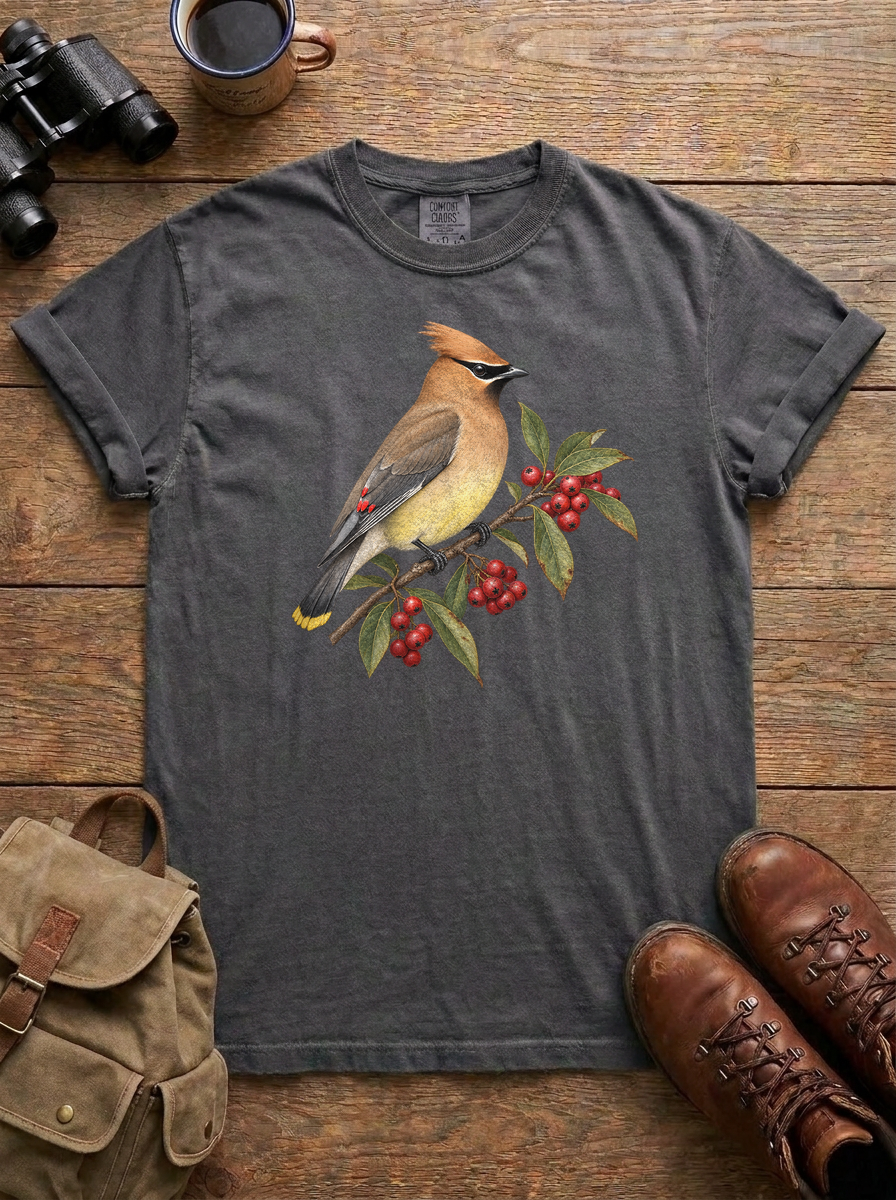 Cedar Waxwing Tee, Pepper