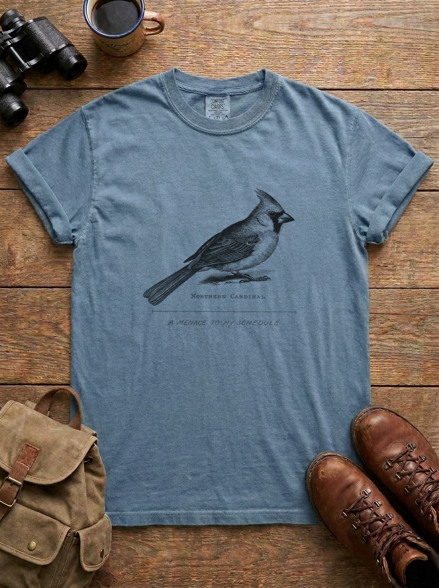 A Menace to My Schedule Tee, Blue Jean