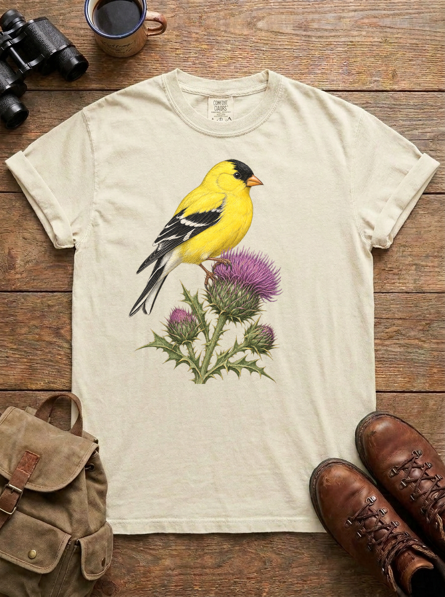 American Goldfinch Tee, Ivory